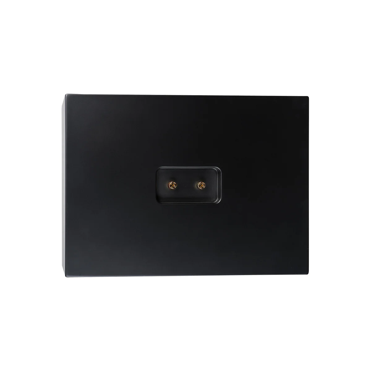 Lyngdorf CS-2 Full Range Speaker - Matte Black - Image 2