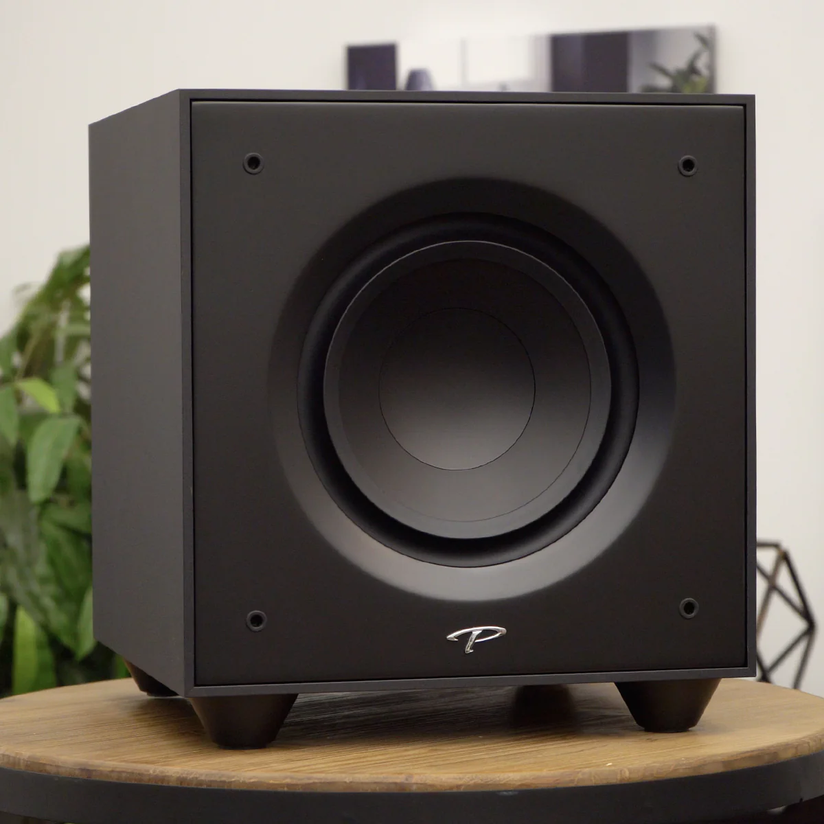 Paradigm Defiance-V10 Paradigm Defiance V10 Subwoofer - Image 8
