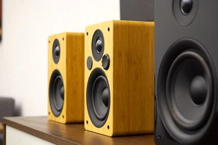 Peachtree M24 Wireless Speakers - Pair - Image 15