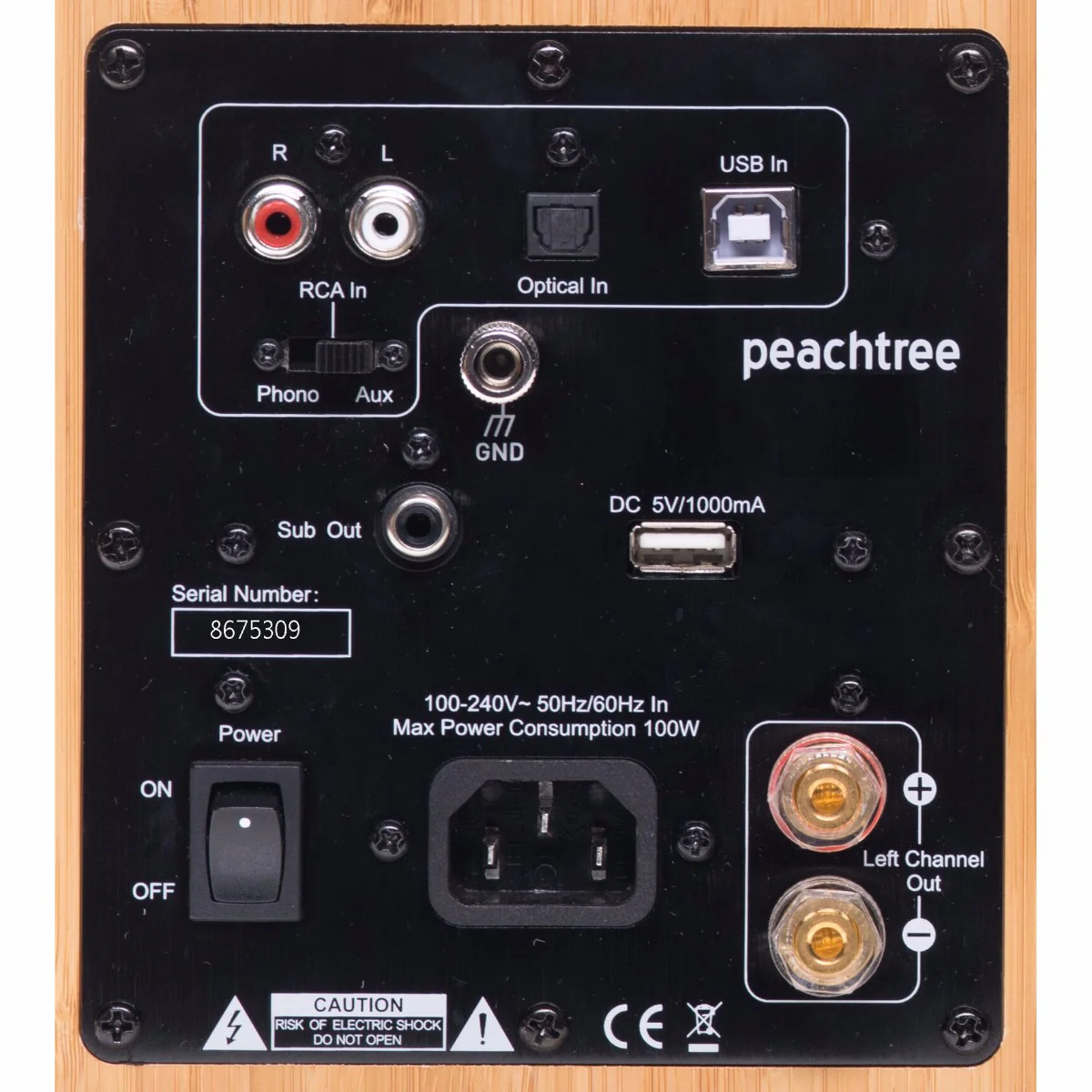 Peachtree M24 Wireless Speakers - Pair - Image 4