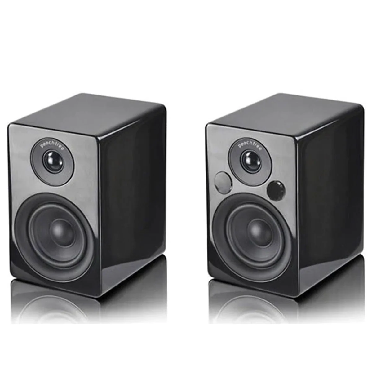 Peachtree Audio M24X Powered Speakers - Pair - Image 2
