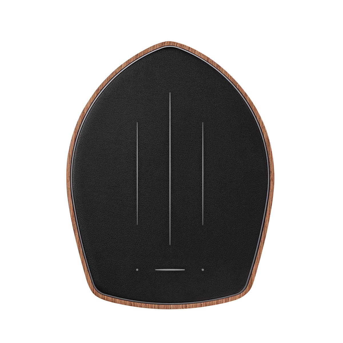 Sonus Faber Duetto Powered Wireless Speaker System - Image 15
