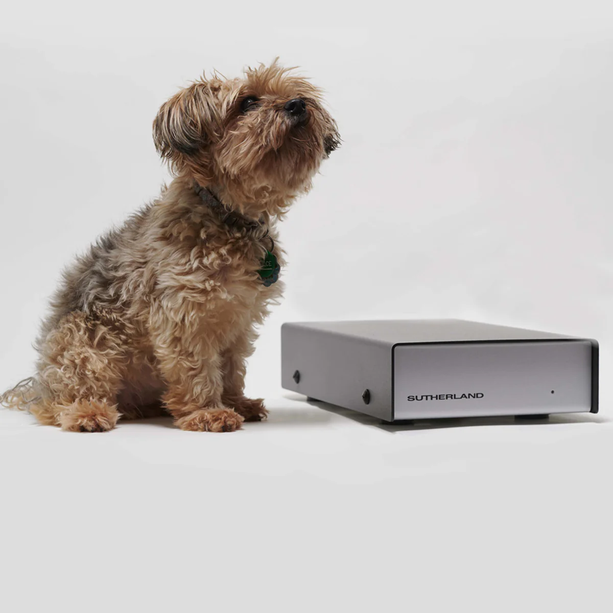 Sutherland KCVIBE-MKII KC Vibe MK2 Phono Preamp - Image 7