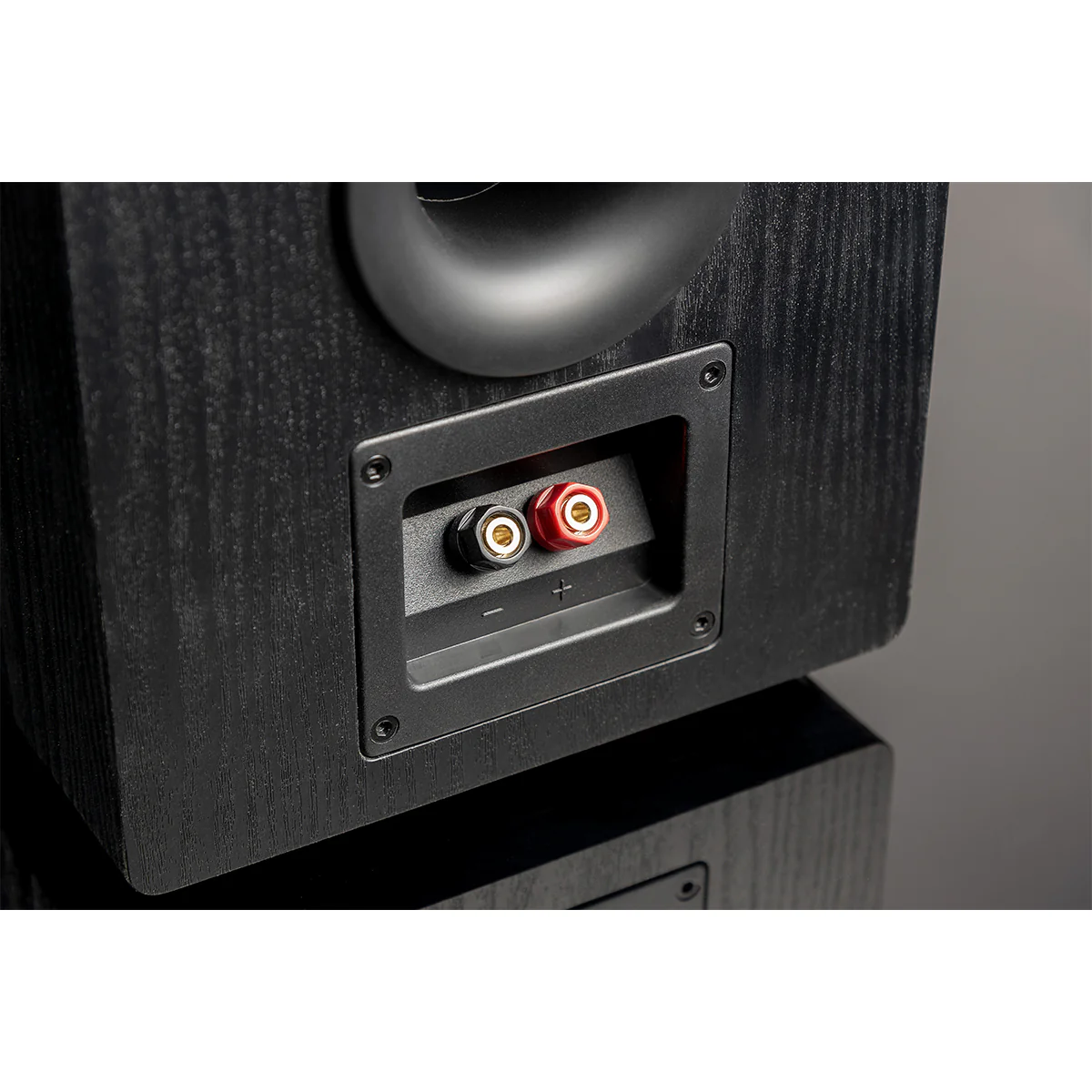 SVS Prime Pinnacle Speaker - Image 19