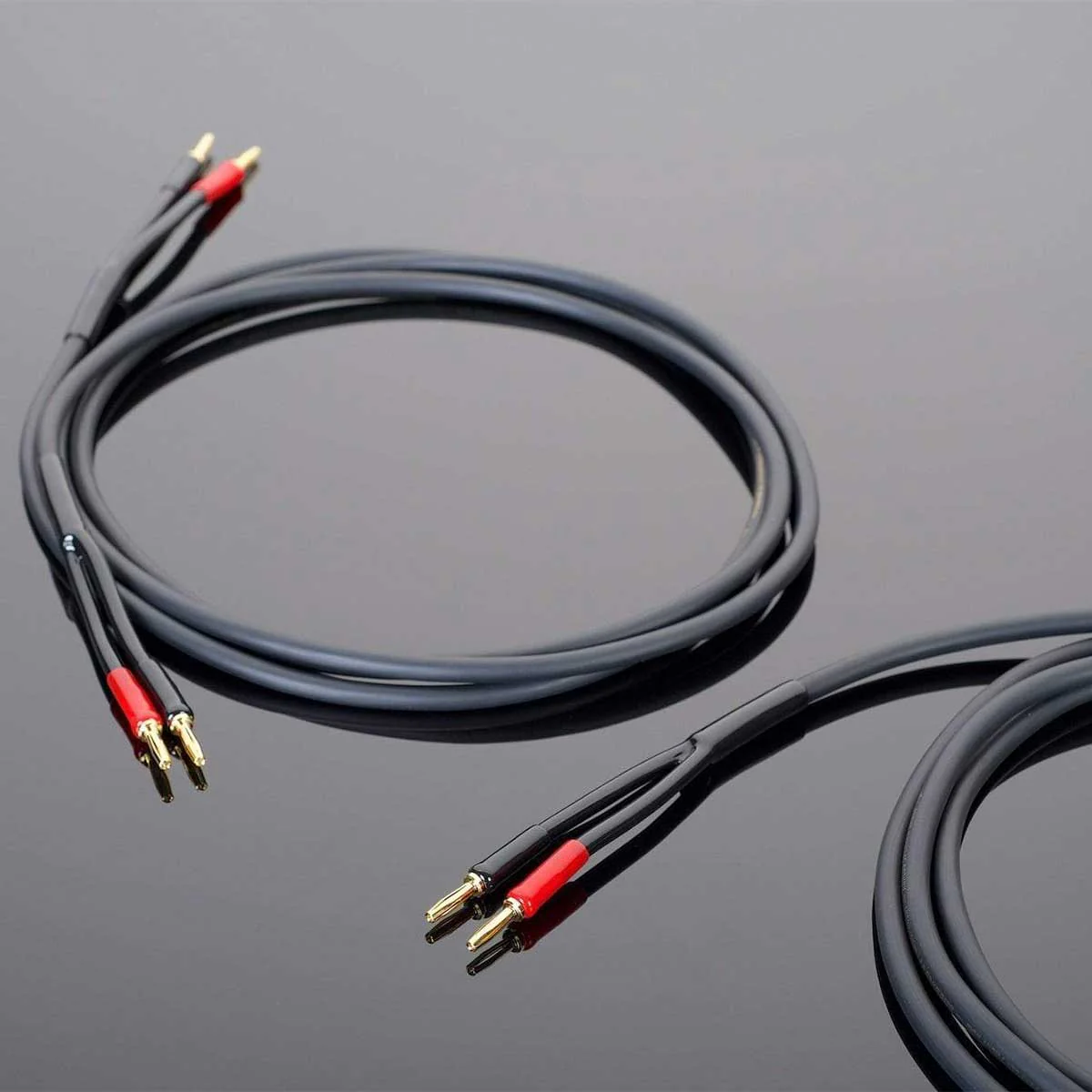 Transparent Hardwired Speaker Cable - Image 7