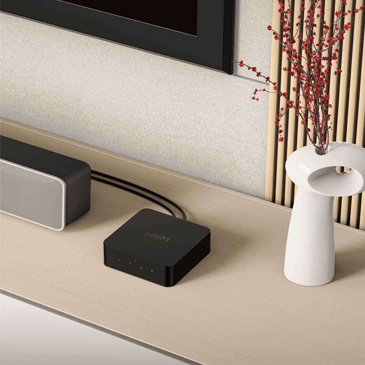 WiiM PRO-PLUS Pro Plus Wireless Audio Streamer - Image 5