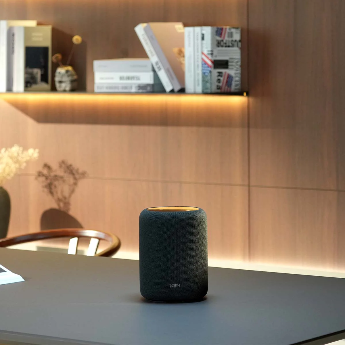 WiiM Sound Lite Smart Speaker - Image 10