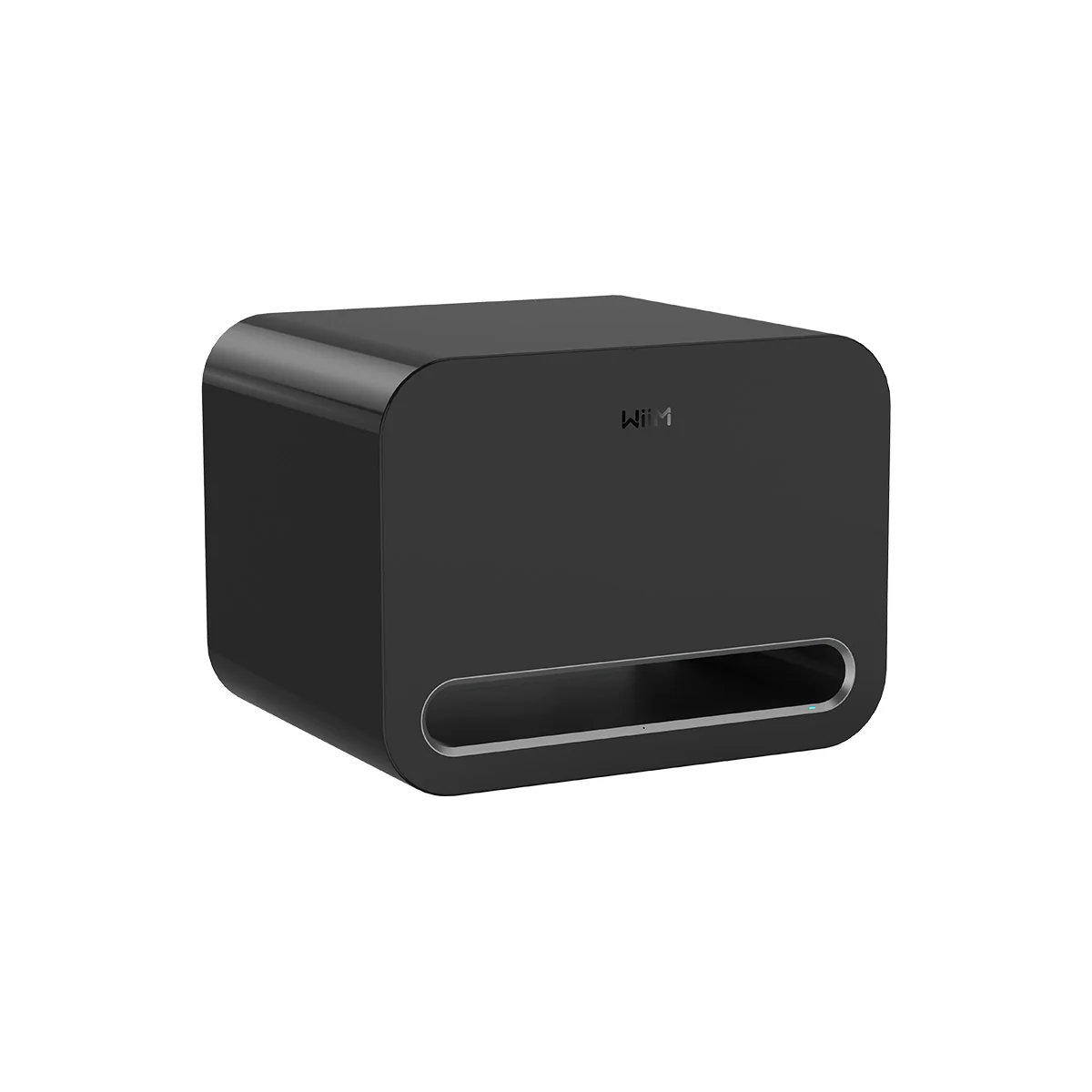 WiiM Sub Pro Wireless Smart Subwoofer - Image 3
